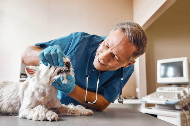 Best Emergency Tooth Extraction in Lamar, CO